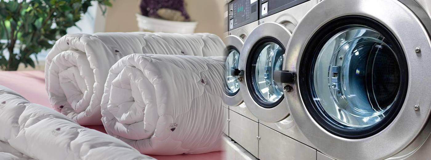 Venüs Halı Yıkama